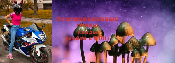 дмт Алексин