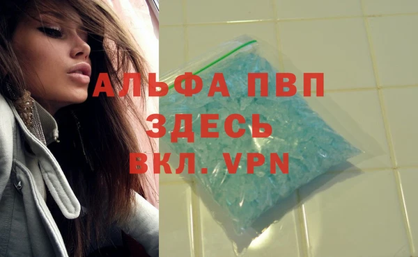 spice Новозыбков